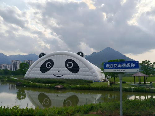 图片4.