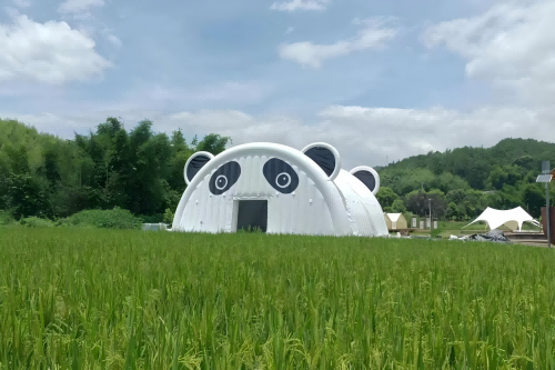 图片5.(1)