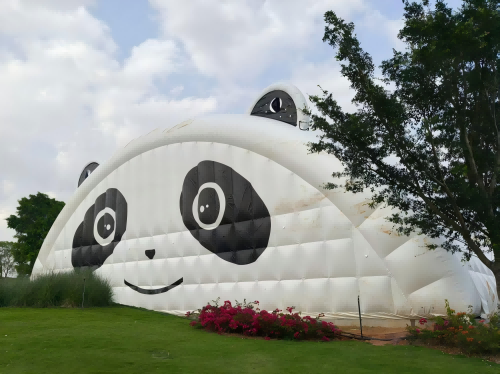 图片6.(1)